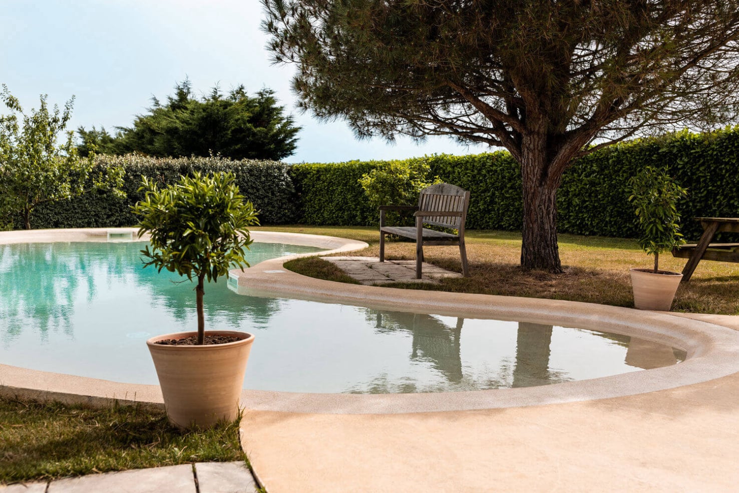 piscine nature conçue en Vaucluse